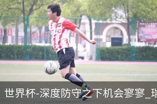 世界杯-深度防守之下机会寥寥 瑞士半场0-0闷平波黑