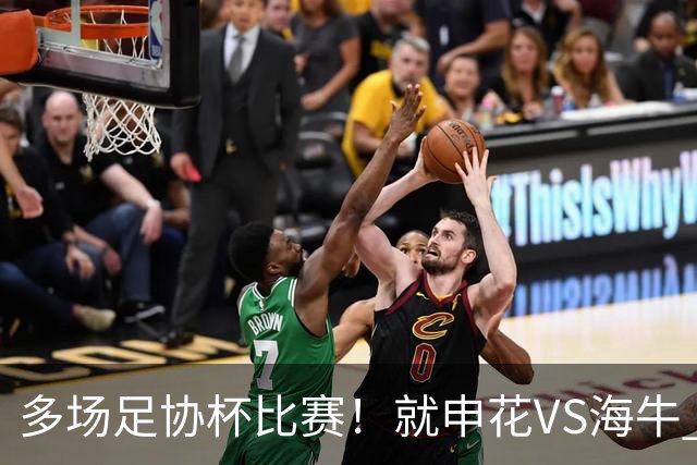 多场足协杯比赛！就申花VS海牛 有央视直播 而且还是CCTV5