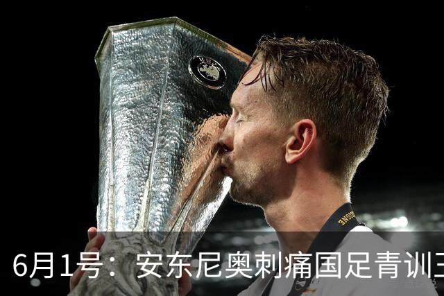 6月1号：安东尼奥刺痛国足青训王钰栋徐彬留洋困局全摊开